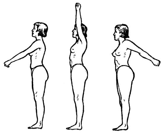 Упражнение для плеч и рук